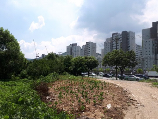 서울 서초구 내곡동 일대 그린벨트로 묶인 자연녹지가 지난달 45억원에 팔렸다. 낙찰된 내곡동 토지 전경. 지지옥션 제공